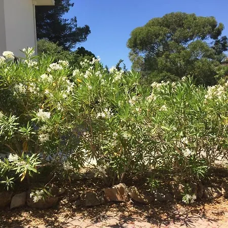 شقة Quiet Private Garden With Pool أنتيب