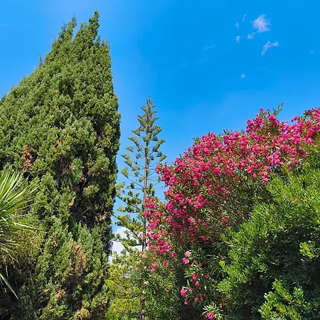 アパート Quiet Private Garden With Pool