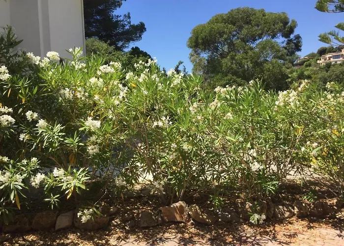 Appartamento Quiet Private Garden With Pool Antibes